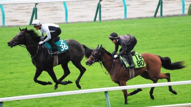 セレクトS高額馬が武豊背にデビュー!