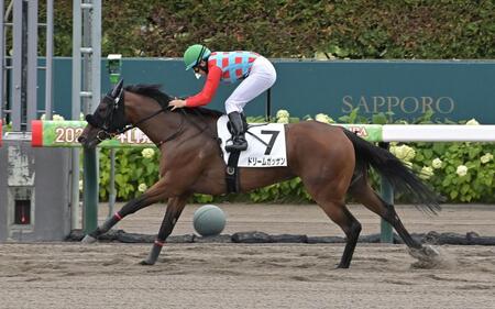 １Ｒ３歳未勝利を勝ったドリームガッサン（撮影・持木克友）