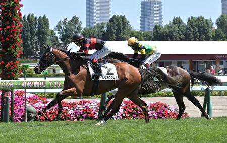 メイクデビュー札幌を制したホウオウプレマ（撮影・持木克友）