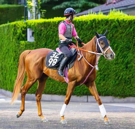 　ダートでは２戦２勝。勢いに乗っているショウナンバンライ