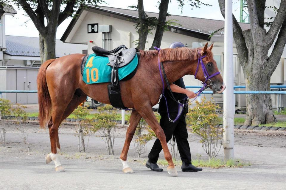 注目が集まるジーフォーリア