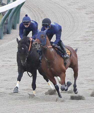 　函館ダートで併せ馬を行い、実戦に向けて体調を整えたウェイワードアクト（左）