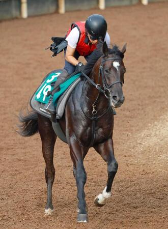 　コントレイル産駒の高額馬ドラゴンバルド