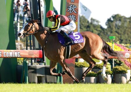 チェスティーノの姉チェルヴィニア　秋華賞Ｖ時