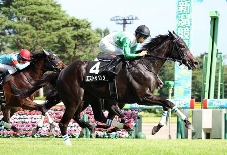 外から差し切ったエストゥペンダ（手前）＝新潟競馬場