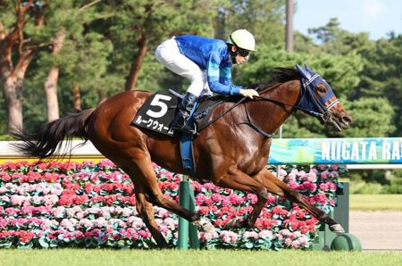 逃げ切ったルークウォーム＝新潟競馬場