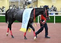 ＣＢＣ賞を制したフロムダスク