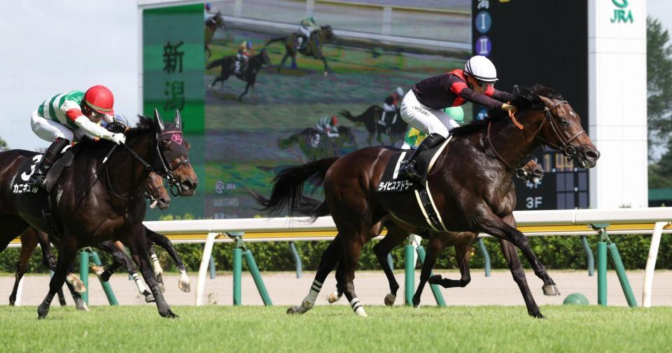 カニキュルの猛追を振り切るライヒスアドラー㊨
