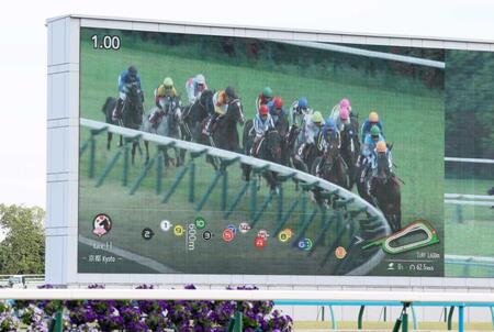 　リアルタイムの順位が表示されるトラッキングシステム＝京都競馬場