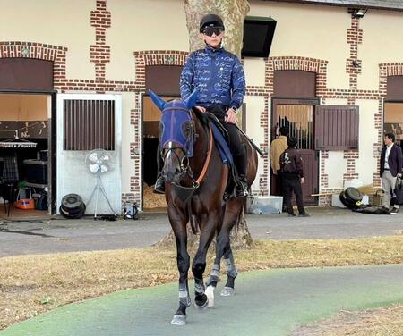 　ドーヴィル競馬場で調整するシックスペンス（撮影・平松さとし）