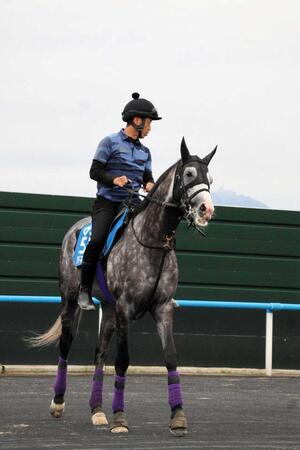 　重賞３勝目を狙って札幌記念に臨むアドマイヤテラ