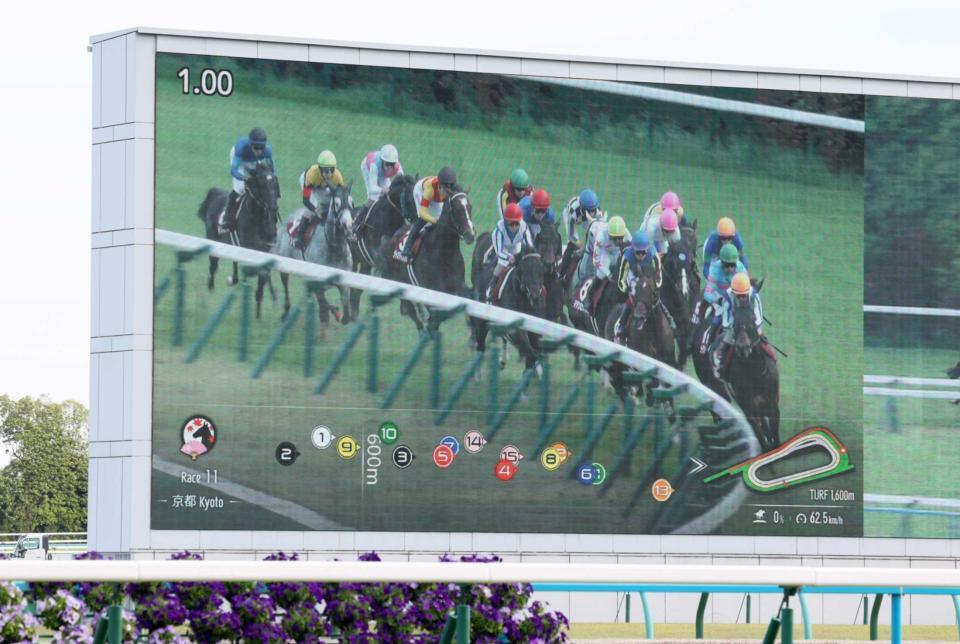 　リアルタイムの順位が表示されるトラッキングシステム＝京都競馬場