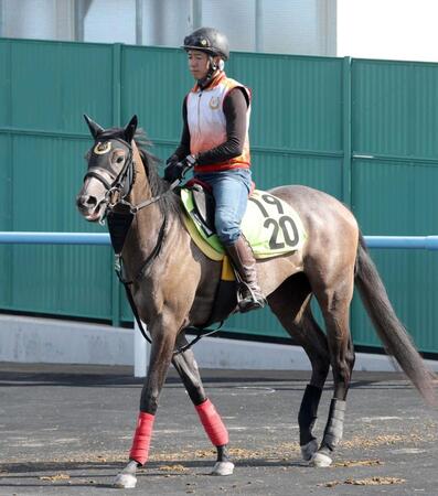 　デビュー勝ちを狙うトスカ