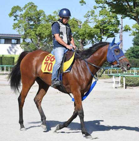 　重賞初Ｖへ意気込むカネラフィーナ