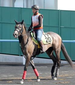 　デビュー勝ちを狙うトスカ