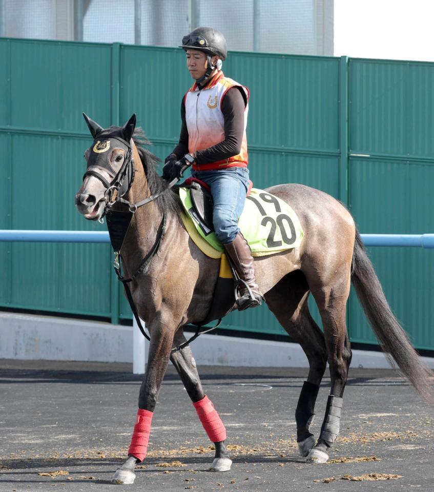 　デビュー勝ちを狙うトスカ