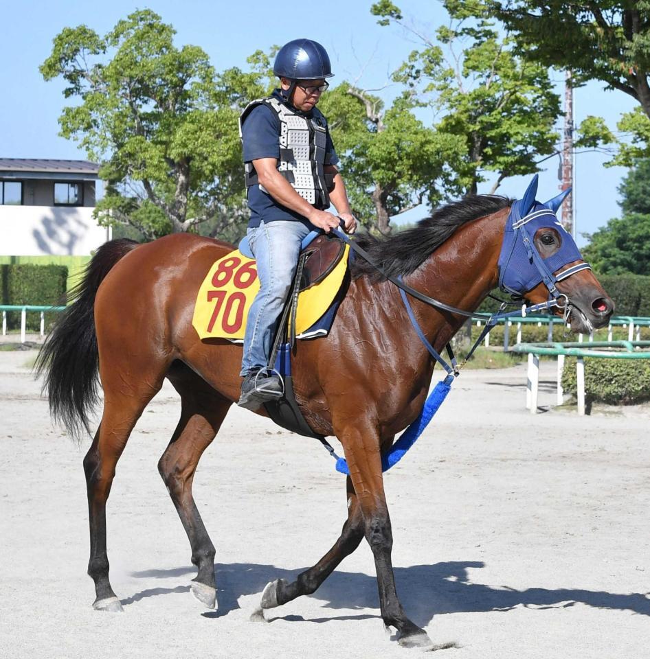 　重賞初Ｖへ意気込むカネラフィーナ
