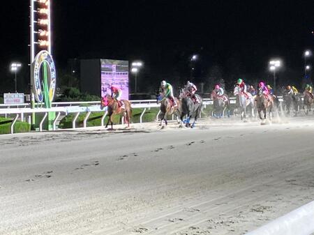 大外強襲で重賞２勝目を挙げたオマツリオトコ（左から３頭目）＝撮影・中山伸治