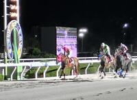 大外強襲で重賞２勝目を挙げたオマツリオトコ（右）＝撮影・中山伸治
