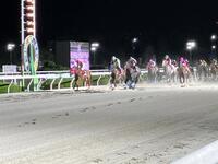 大外強襲で重賞２勝目を挙げたオマツリオトコ（左から３頭目）＝撮影・中山伸治