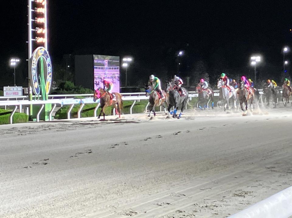 大外強襲で重賞２勝目を挙げたオマツリオトコ（左から３頭目）＝撮影・中山伸治