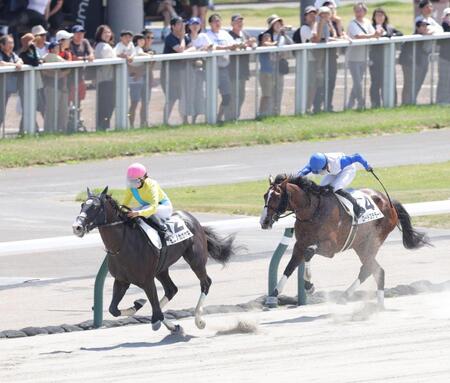 ４Ｒを制したモロノカガヤキ（左）＝札幌競馬場（撮影・西岡正）