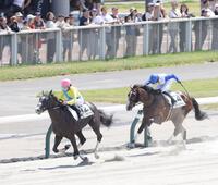 ４Ｒを制したモロノカガヤキ（左）＝札幌競馬場（撮影・西岡正）