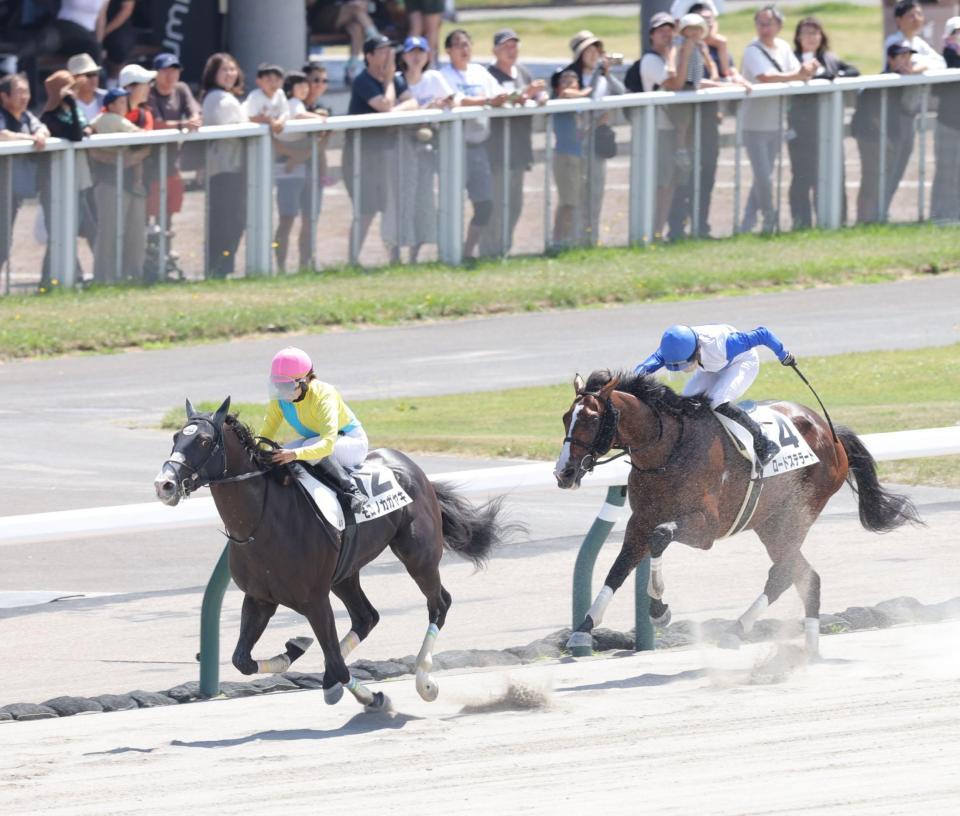 ４Ｒを制したモロノカガヤキ（左）＝札幌競馬場（撮影・西岡正）