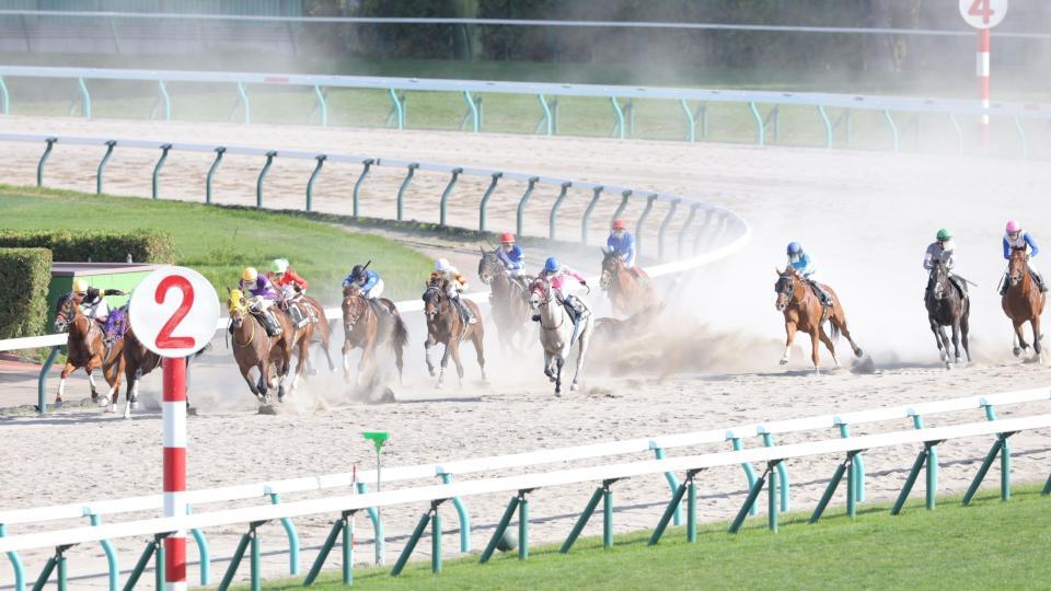 大雪ハンデの４コーナーで落馬したスマートカイロスと古川奈穂（撮影・西岡正）