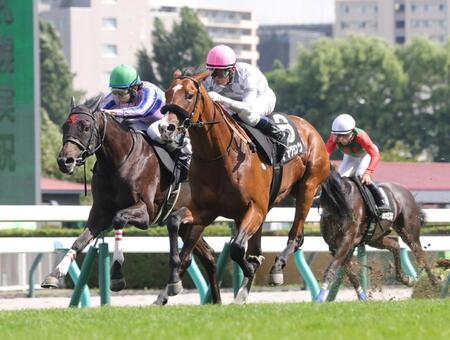 コスモス賞を制したデアグランツ（中央）＝撮影・西岡正
