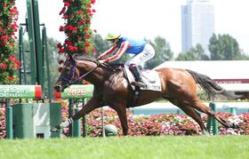 後続に大差を付け、新馬戦を制したジオパークカツキ（撮影・西岡正）