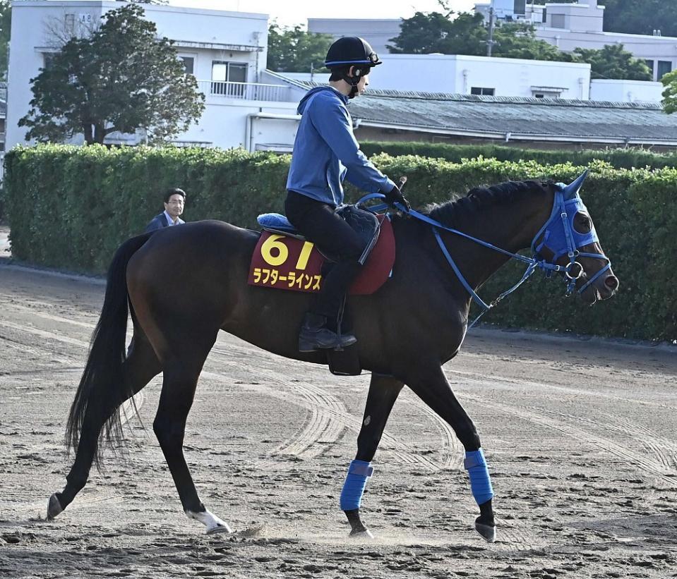 ラフターラインズ