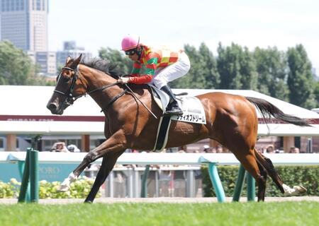 新馬戦を制したシティオブドリーム（撮影・西岡正）