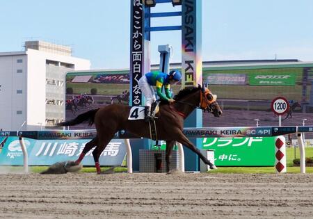 川崎２Ｒで初勝利を収めた片目が見えない競走馬ドコフクカゼ