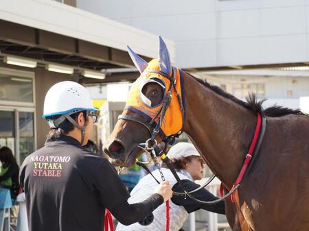 川崎２Ｒで初勝利を収めた左目が見えない競走馬ドコフクカゼ