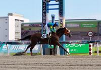 川崎２Ｒで初勝利を収めた片目が見えない競走馬ドコフクカゼ