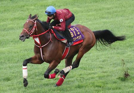 坂井を背に芝コースで追われるフォーエバーヤング
