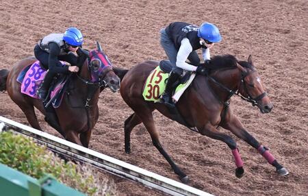 美浦坂路、併せで追い切ったシャンデヴァーグ（右）＝撮影・園田高夫
