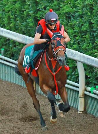 栗東坂路で成長ぶりをアピールしたインカルナータ（撮影・石湯恒介）