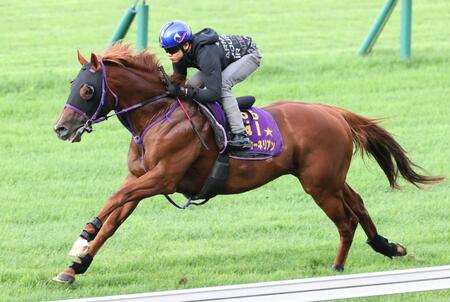 三浦を背に函館芝で好ムードを漂わせたウインカーネリアン