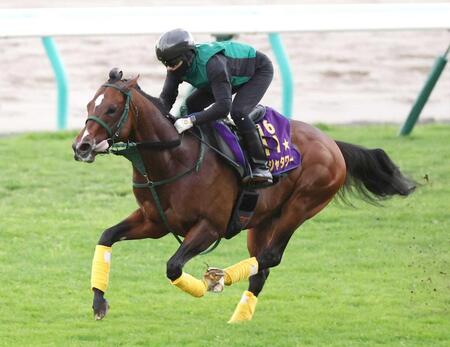 札幌芝で迫力満点の動きを披露したパンジャタワー