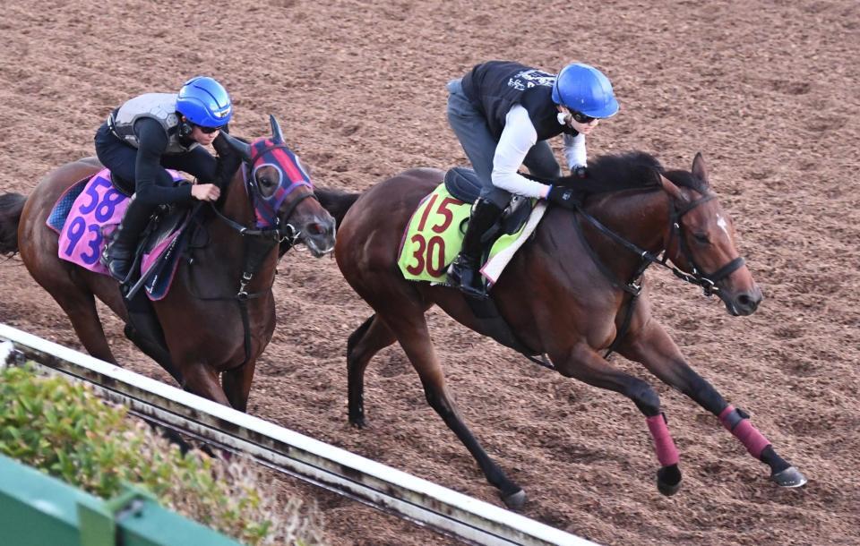 美浦坂路、併せで追い切ったシャンデヴァーグ（右）＝撮影・園田高夫