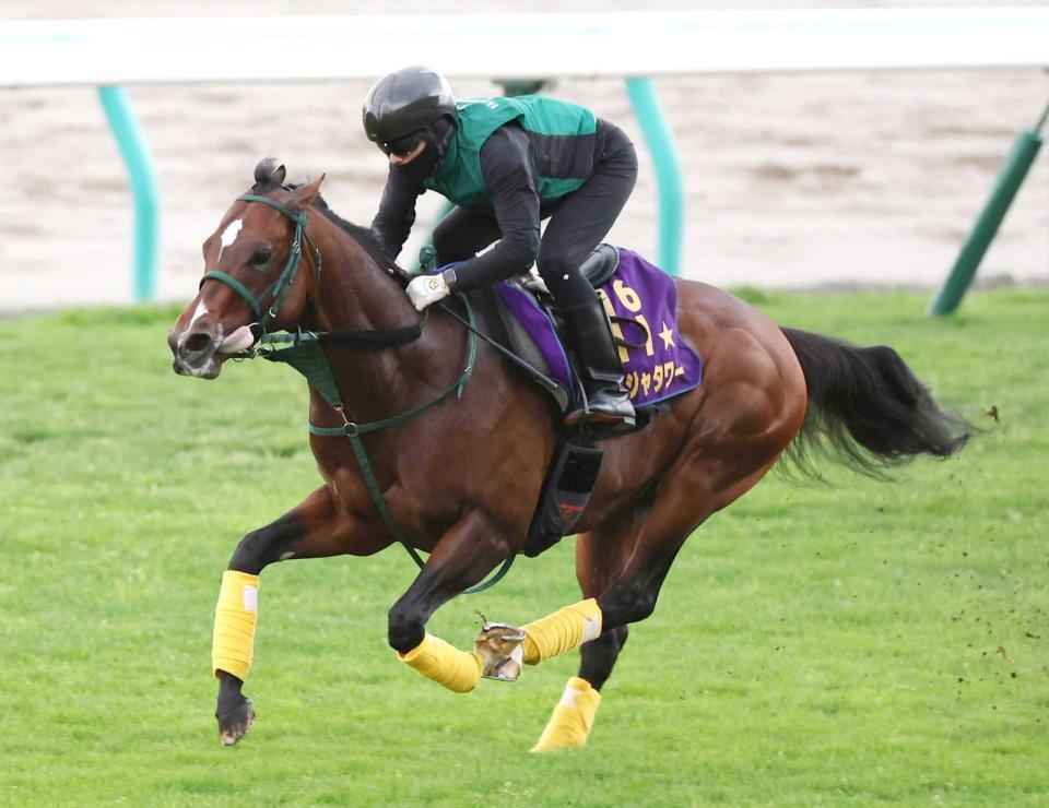 札幌芝で迫力満点の動きを披露したパンジャタワー