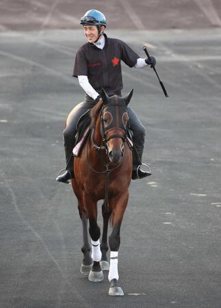 丹内を背に馬場へ向かうロジケープ