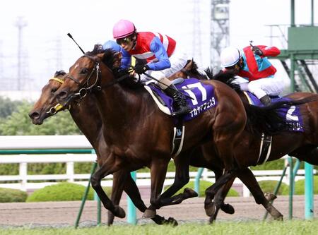 宝塚記念を制したナカヤマフェスタ＝２０１０年６月