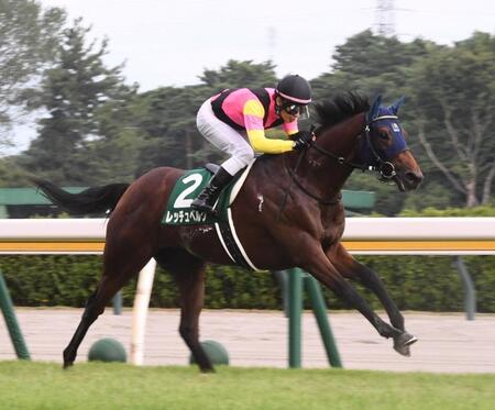新潟２歳ステークスを制したレッチュベルク（撮影・園田高夫）