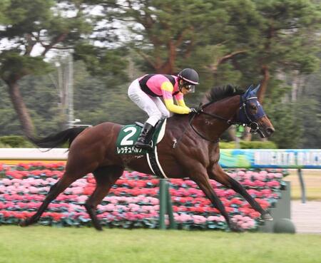 新潟２歳ステークスを制したレッチュベルク（撮影・園田高夫）