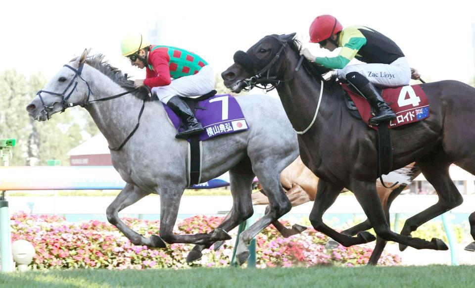 　スパークリシャールの猛追を振り切った横山典騎手騎乗のキャントウェイト（左）