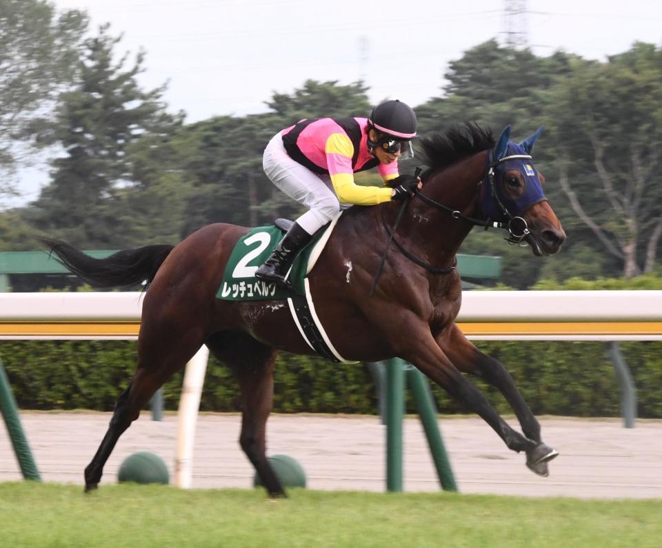 新潟２歳ステークスを制したレッチュベルク（撮影・園田高夫）