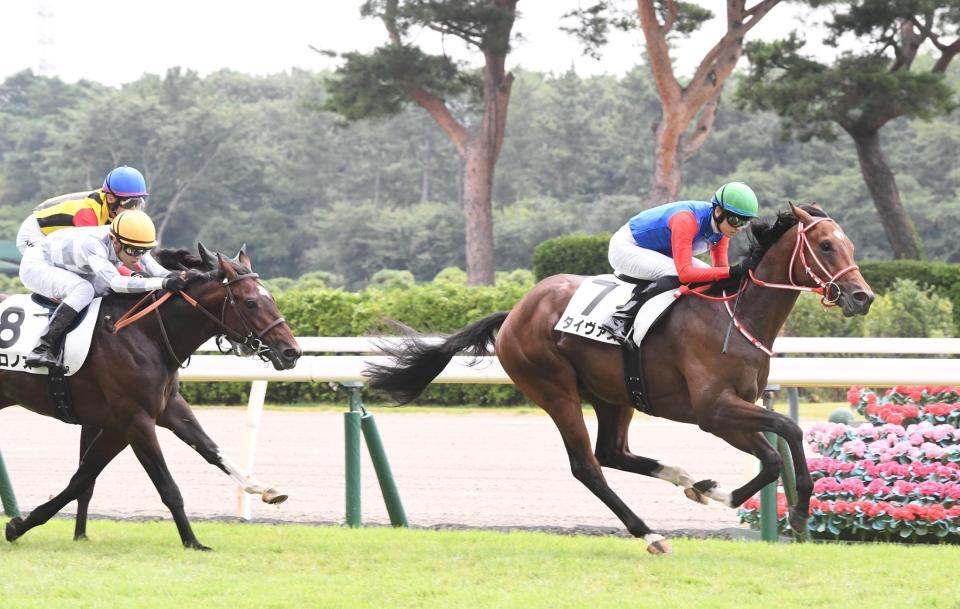 ２歳新馬戦を制したタイヴァス（右）＝撮影・園田高夫